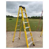 Green Bull 8 ft ladder