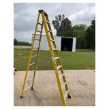 Green Bull 10 ft ladder