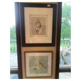 2- framed seashell pictures