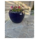 Ceramic planters pot w/ flowers