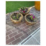 3- hanging planter baskets
