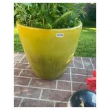 Large ceramic planters pot w/ flowers