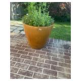 Large ceramic planters pot w/ flowers