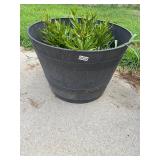 Round gray planter and plant