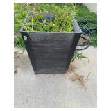 Gray square planter and plant