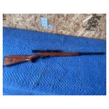 Revaluation Model 120- .22 lr with scope