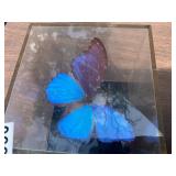 Butterfly decor in case