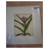 R.Stauffer colored etching, artistï¿½s proof, signed