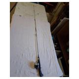 Fishing pole and reel combo - brands in pictures