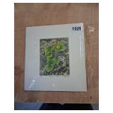 Richard Stauffacher Botanical print signed 96/100