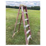 Werner 6 ft ladder