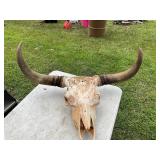 Bull horn - skull mount