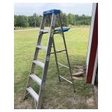 Werner 6 ft ladder