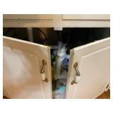Cleaning supplies under sink ï¿½ all