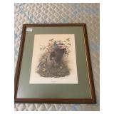 Framed eastern bluebird picture