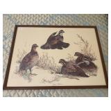 Framed pheasant in the snow picture