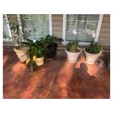 All planter pot and squirrel pictured