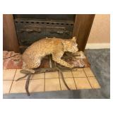 Stuffed Bobcat Mount - needs new eye