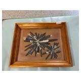 framed feathers