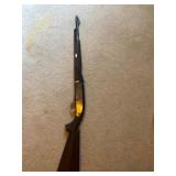 .22 semi-auto rifle