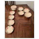 9- Assorted Franciscan Desert Rose