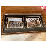 Framed Zebra and Cheetah Picture 13 x 25