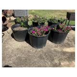 6- large plastic planters and flowers