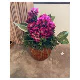 Pretty purple forever plant