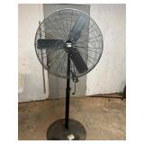 Central Machinery Pedestal Fan