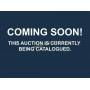 Upcoming Equestrian Auction