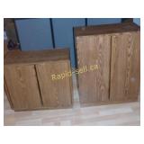 Entertainment Storage Needs