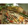 Train Collection Auction