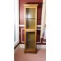 Two Door Display Cabinet with Side Glass & Light