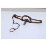 Homestead Metal Bear Trap
