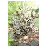 XX LARGE Driftwood 8Ft x 8Ft Garden Decor