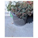 Large Plastic Flower Planter