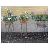 Three Metal Outdoor Plant Stand w Plants