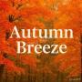 Autumn Breeze