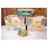 Regular Mason Jars for Home Preserving & Canning