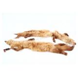 VTG Mink Collar Fur Stoles