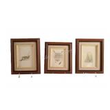 Signed Canadian Wildlife Framed Print  Artwork