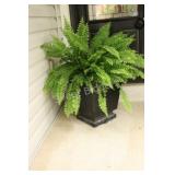 16' Black Plastic Planter w Live Fern