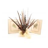 Floral Display w Pheasant Tails, Loates Owl Prints
