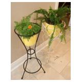 House Plants w Wrought Iron & Metal Plant Stands