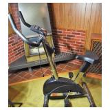 DP Fitness Flywheel Cycle & Exercise Ball