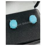 Sterling Silver, Turquoise Earrings