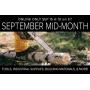 September Mid-Month Auction