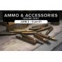 Ammo & Accessories Auction