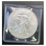 .7734 Troy Oz Silver Dollar