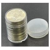 (20) .3617 Troy Oz Silver Coins